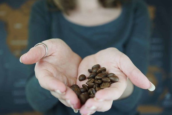 Quelle procédure suivre pour l'importation de produits cosmétiques en France par une PME?